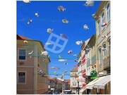 Apartamento T3 - Esgueira, Aveiro, Aveiro - Miniatura: 7/9