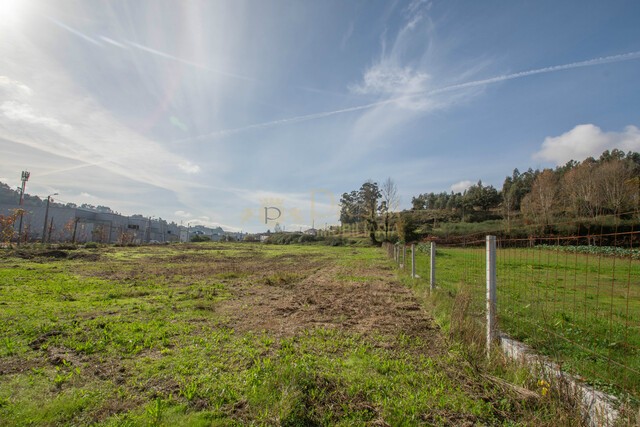 Terreno Industrial T0 - So Torcato, Guimares, Braga - Imagem grande