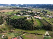 Terreno Rstico - Encarnao, Mafra, Lisboa - Miniatura: 6/9