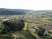 Terreno Rstico - Encarnao, Mafra, Lisboa - Miniatura: 8/9