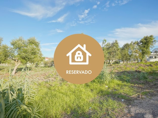 Terreno Rústico - Mafra, Mafra, Lisboa - Imagem grande