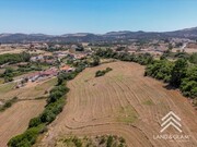 Terreno Rstico - Milharado, Mafra, Lisboa - Miniatura: 6/9