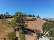 Terreno Rstico - Milharado, Mafra, Lisboa - Miniatura: 7/9