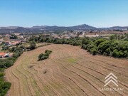 Terreno Rstico - Milharado, Mafra, Lisboa - Miniatura: 8/9