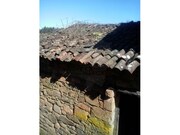 Ruina T0 - Pedrogo Pequeno, Sert, Castelo Branco - Miniatura: 3/5