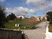 Terreno Urbano - Cernache do Bonjardim, Sert, Castelo Branco - Miniatura: 2/2