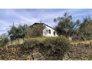 Moradia T2 - Portela do Fojo, Pampilhosa da Serra, Coimbra - Miniatura: 9/9