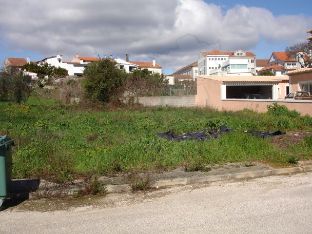 Terreno Urbano - Cernache do Bonjardim, Sert, Castelo Branco - Imagem grande