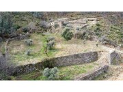 Terreno Rstico - Oleiros, Oleiros, Castelo Branco - Miniatura: 9/9