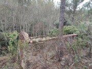 Armazém T2 - Montes da Senhora, Proença-a-Nova, Castelo Branco - Miniatura: 6/9