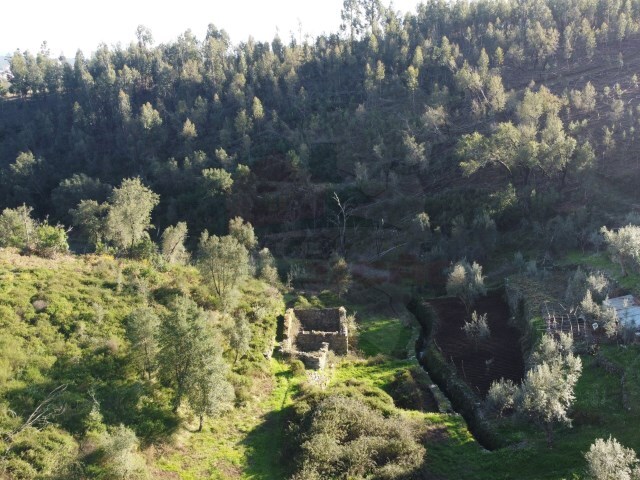 Quinta T0 - Troviscal, Sert, Castelo Branco - Imagem grande