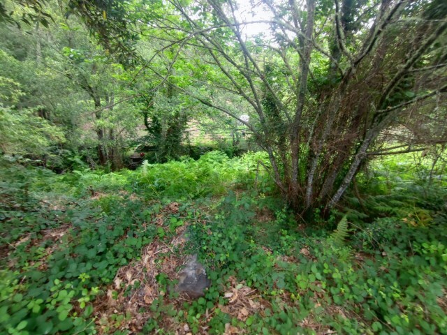 Terreno Rústico - Pedrogão Grande, Pedrógão Grande, Leiria - Imagem grande