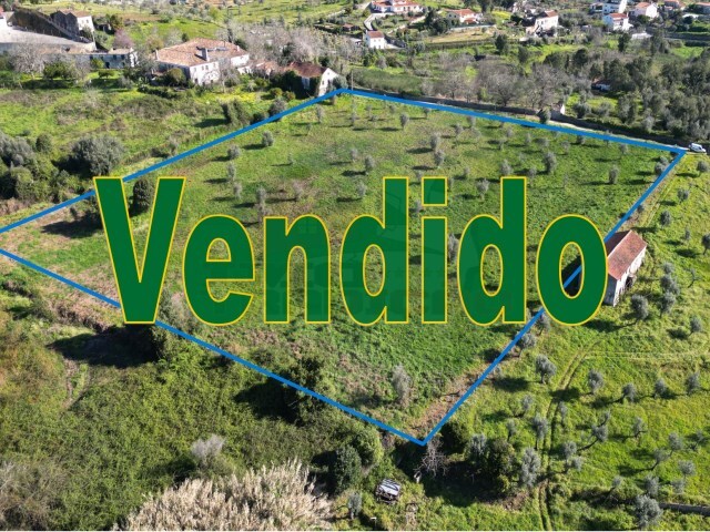 Terreno Urbano - Cernache do Bonjardim, Sertã, Castelo Branco - Imagem grande
