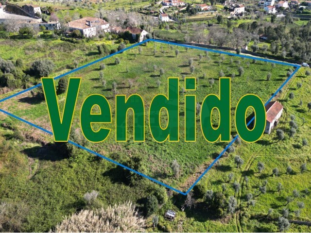 Terreno Urbano - Cernache do Bonjardim, Sert, Castelo Branco - Imagem grande