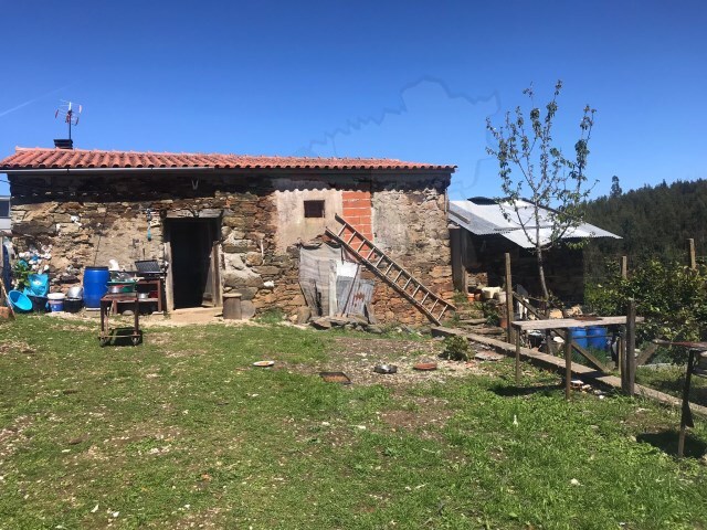 Moradia - Castelo, Sertã, Castelo Branco - Imagem grande