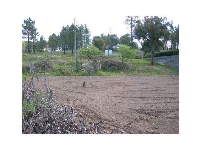 Terreno Rústico - Várzea dos Cavaleiros, Sertã, Castelo Branco - Imagem grande
