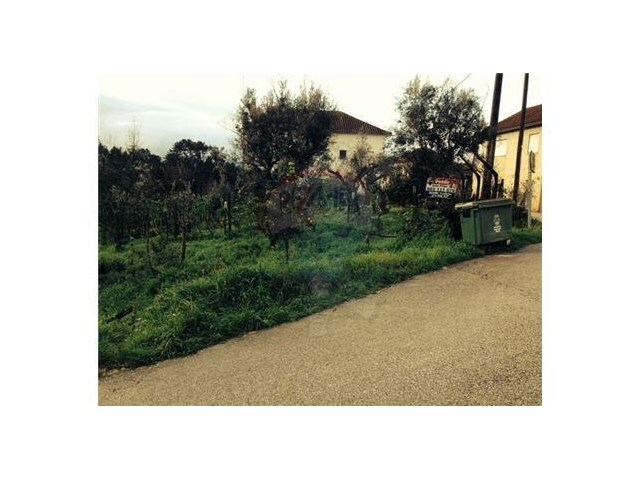 Terreno Rústico - Graça, Pedrógão Grande, Leiria - Imagem grande