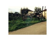 Terreno Rstico - Graa, Pedrgo Grande, Leiria - Miniatura: 2/2