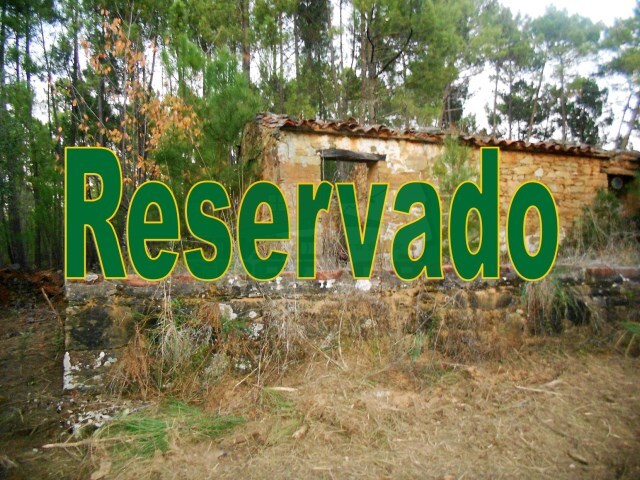 Moradia T1 - Sertã, Sertã, Castelo Branco - Imagem grande