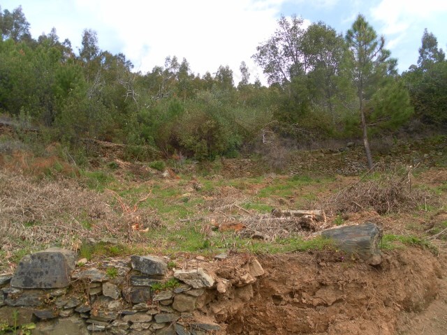 Terreno Rstico - lvaro, Oleiros, Castelo Branco - Imagem grande