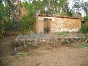 Moradia T1 - Sert, Sert, Castelo Branco - Miniatura: 9/9