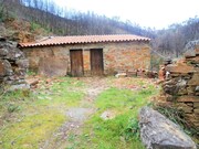 Terreno Rstico - Sert, Sert, Castelo Branco - Miniatura: 9/9