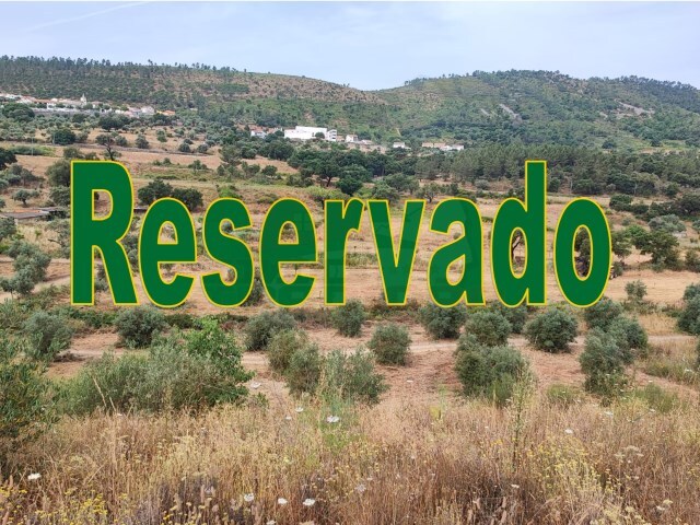 Terreno Rústico - Sarzedas, Castelo Branco, Castelo Branco - Imagem grande