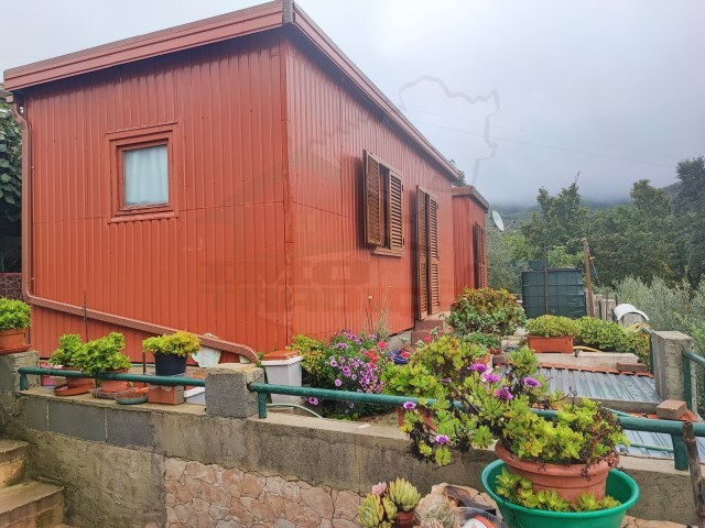 Quinta T2 - Pedrogão Pequeno, Sertã, Castelo Branco - Imagem grande
