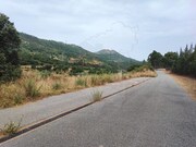 Terreno Rstico - Sarzedas, Castelo Branco, Castelo Branco - Miniatura: 4/4