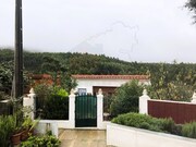 Quinta T2 - Pedrogo Pequeno, Sert, Castelo Branco - Miniatura: 9/9