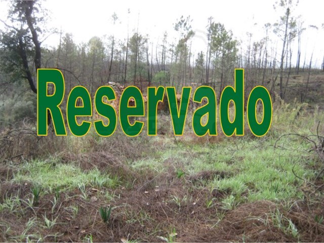 Terreno Rústico - Cumeada, Sertã, Castelo Branco - Imagem grande