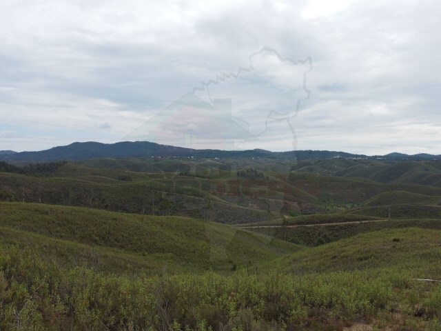 Terreno Rstico - Cumeada, Sert, Castelo Branco - Imagem grande