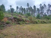 Moradia T4 - Vrzea dos Cavaleiros, Sert, Castelo Branco - Miniatura: 9/9
