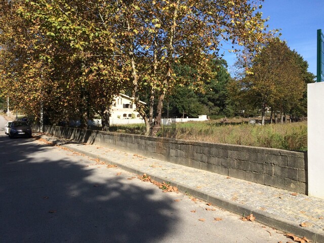 Terreno R�stico T0 - S�o Roque, Oliveira de Azem�is, Aveiro - Imagem grande