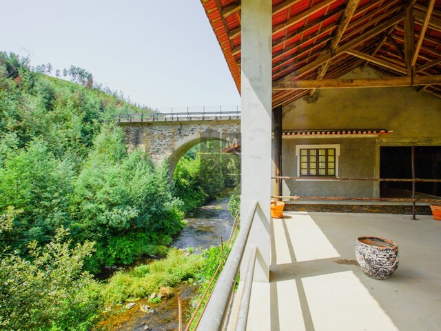 Quinta T0 - Raiva, Castelo de Paiva, Aveiro - Imagem grande