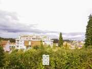 Terreno Rstico - Vila de Cucujes, Oliveira de Azemis, Aveiro - Miniatura: 7/9