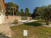 Moradia T3 - So Joo de Ver, Santa Maria da Feira, Aveiro - Miniatura: 3/9