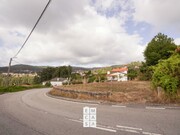 Terreno Rstico - So Pedro de Casteles, Vale de Cambra, Aveiro - Miniatura: 2/7