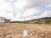 Terreno Rstico - So Pedro de Casteles, Vale de Cambra, Aveiro - Miniatura: 4/7