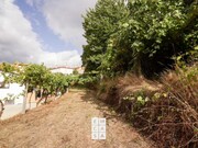 Terreno Rstico - So Pedro de Casteles, Vale de Cambra, Aveiro - Miniatura: 5/7