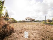 Terreno Rstico - So Pedro de Casteles, Vale de Cambra, Aveiro - Miniatura: 6/7