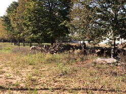 Terreno R�stico T0 - S�o Roque, Oliveira de Azem�is, Aveiro - Miniatura: 3/4