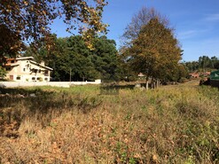 Terreno R�stico T0 - S�o Roque, Oliveira de Azem�is, Aveiro - Miniatura: 4/4