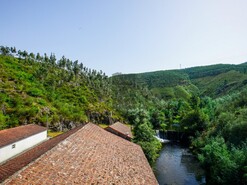 Quinta T0 - Raiva, Castelo de Paiva, Aveiro - Miniatura: 1/24