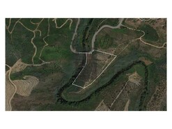 Quinta T0 - Raiva, Castelo de Paiva, Aveiro - Miniatura: 2/24