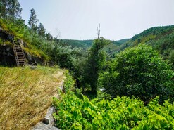 Quinta T0 - Raiva, Castelo de Paiva, Aveiro - Miniatura: 9/24