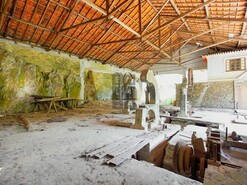 Quinta T0 - Raiva, Castelo de Paiva, Aveiro - Miniatura: 20/24