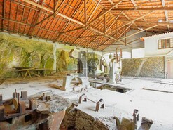 Quinta T0 - Raiva, Castelo de Paiva, Aveiro - Miniatura: 22/24