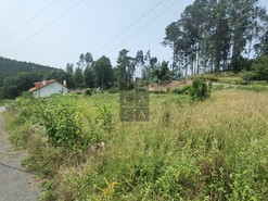 Terreno Urbano T0 - S�o Roque, Oliveira de Azem�is, Aveiro - Miniatura: 3/9