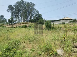 Terreno Urbano T0 - S�o Roque, Oliveira de Azem�is, Aveiro - Miniatura: 9/9